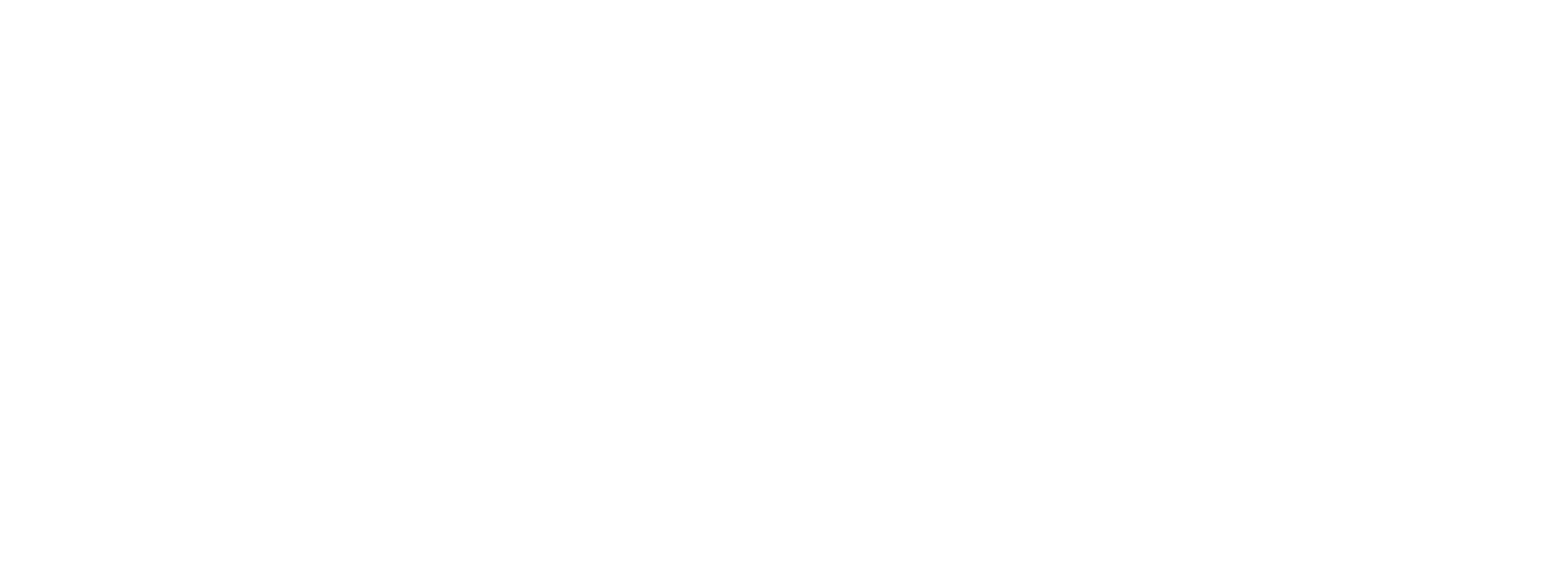 AMIDA Logo